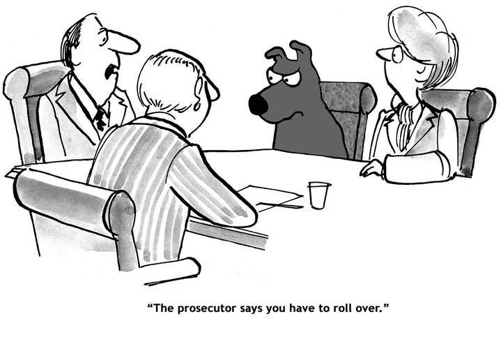 20 Lawyer Jokes You Should Never Tell What Is A Paralegal What